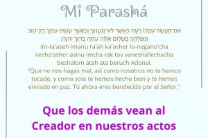 page26.29