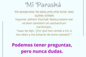 page2627