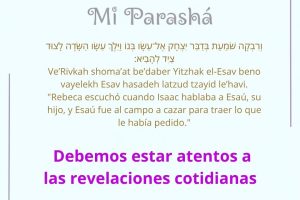 page27.5