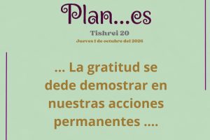 plan20