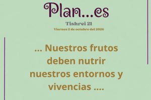 plan21 plan21