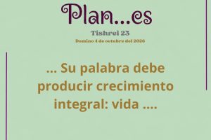 plan23.1