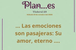 plan29.1