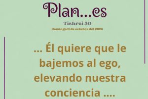 plan30.1